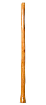 High Gloss Finish Didgeridoo (NW147)
